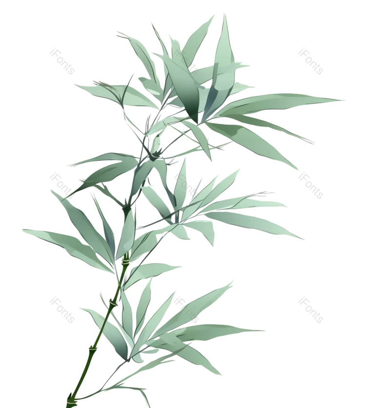 叶子图片,元素元素,文艺PNG,户外免抠素材